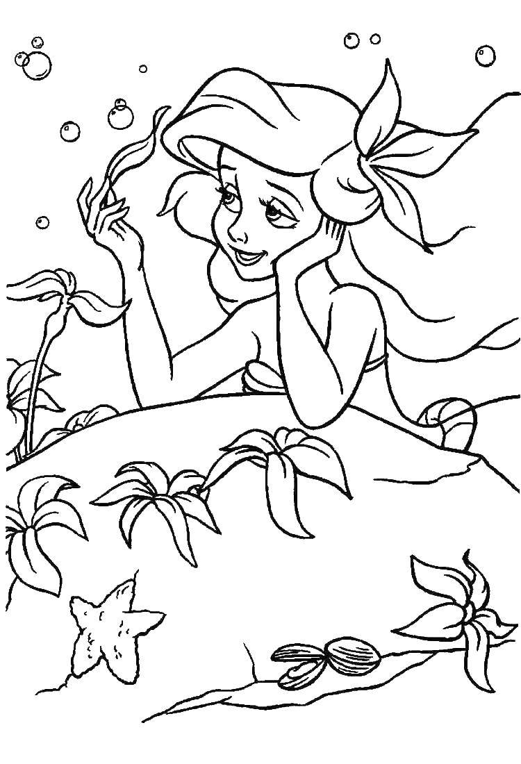 Coloring Mermaid Ariel dreams of. Category the little mermaid Ariel. Tags:  Mermaid, Ariel.