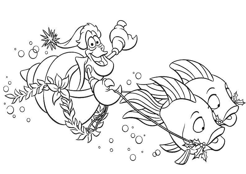 Coloring Sebastian. Category the little mermaid Ariel. Tags:  Sebastian, the little mermaid.