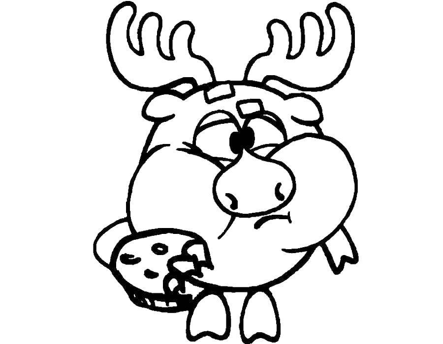 Coloring Moose of the game eat biscuit. Category Smeshariki . Tags:  Smeshariki , Moose.