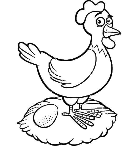 Название: Раскраска Курица в гнезде с яйцом. Категория: Контуры для вырезания птиц. Теги: курица, яйцо, гнездо.