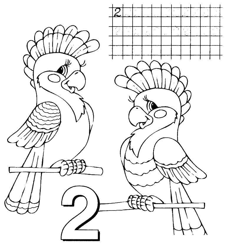 Coloring Learn to write number 2. Category coloring figures. Tags:  Numbers , account numbers.