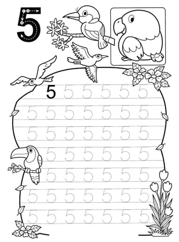 Coloring Learn to count , figure 5. Category tracing numbers. Tags:  Numbers , account numbers.