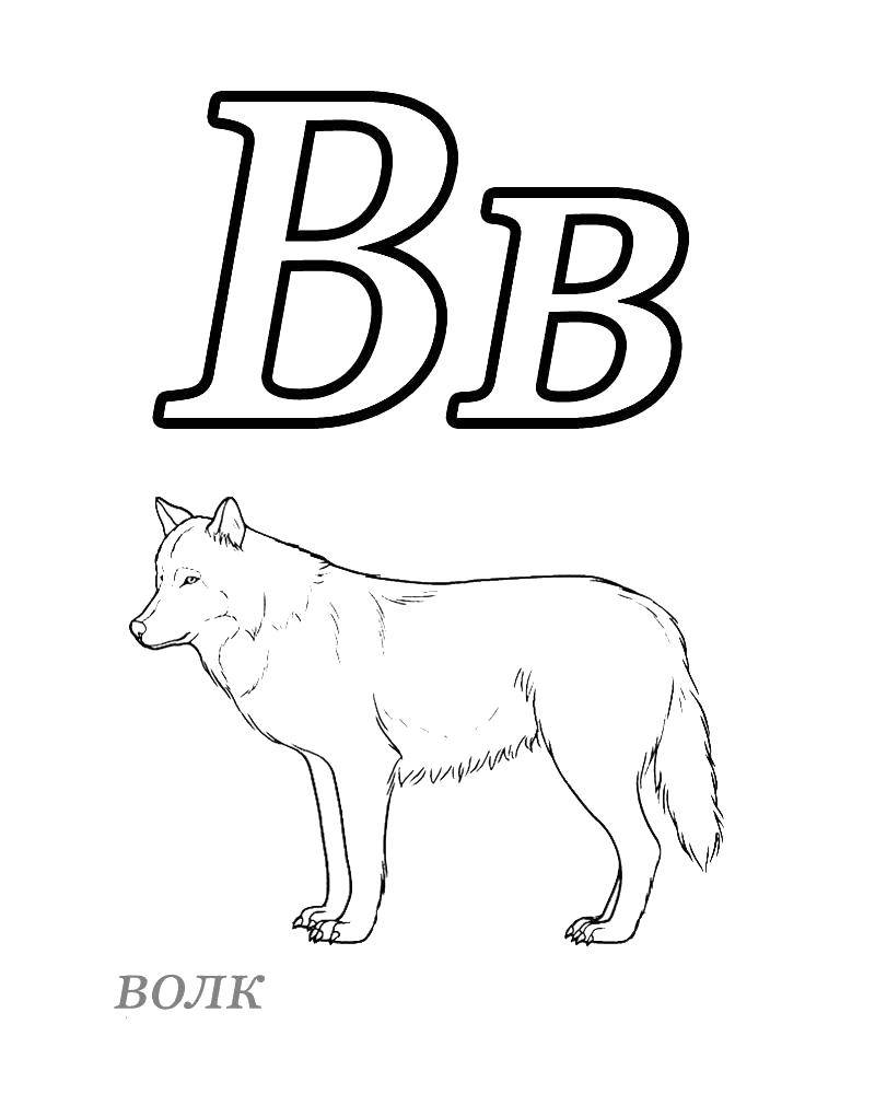 Coloring Teach the alphabet. Category ABCs . Tags:  The alphabet, letters.