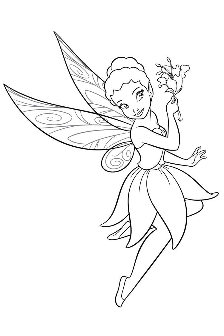 Coloring Fairy cartoon fairy. Category Disney cartoons. Tags:  Disney Fairies, Tinker Bell.