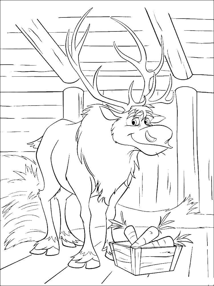 Coloring Moose from the disney cartoon. Category coloring cold heart. Tags:  Disney, Elsa, frozen, Princess.