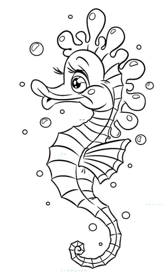Coloring Sea horse. Category Soviet coloring. Tags:  Miskolcon.