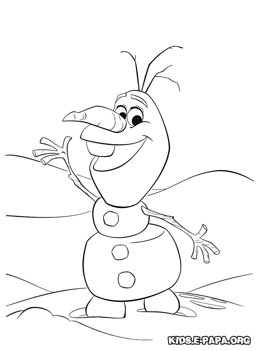 Coloring Olaf the snowman. Category coloring cold heart. Tags:  Kristoff, Elsa, Anna, Olaf.