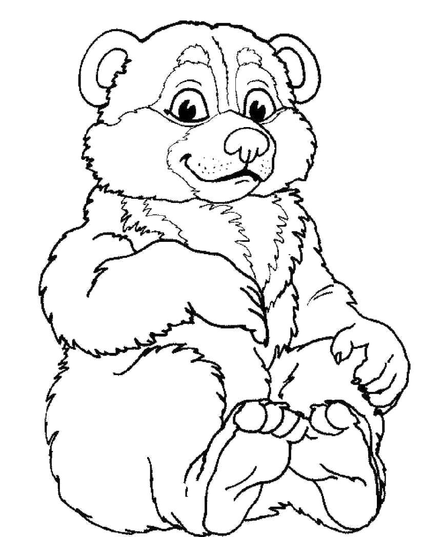 Coloring Forest bear. Category Animals. Tags:  Animals, bear.