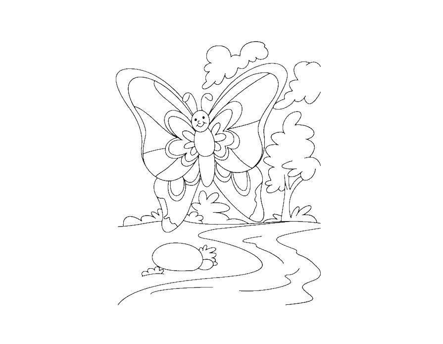 Название: Раскраска Бабочка над ручейком. Категория: весна. Теги: Весна, ручей, лес, бабочка.