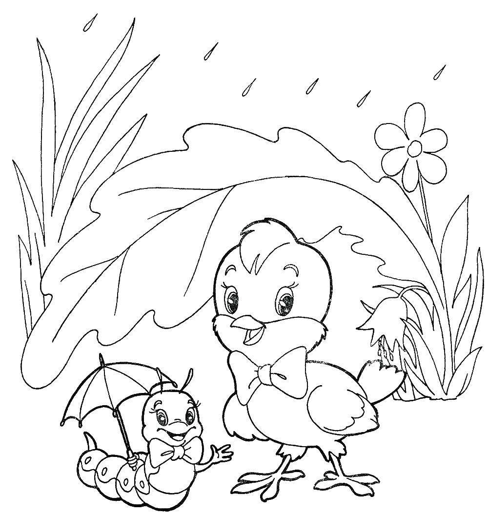 Название: Раскраска Гусеничка и птенчик прячутся о дождика. Категория: весна. Теги: Весна, цветы, тепло , дождь, животные.
