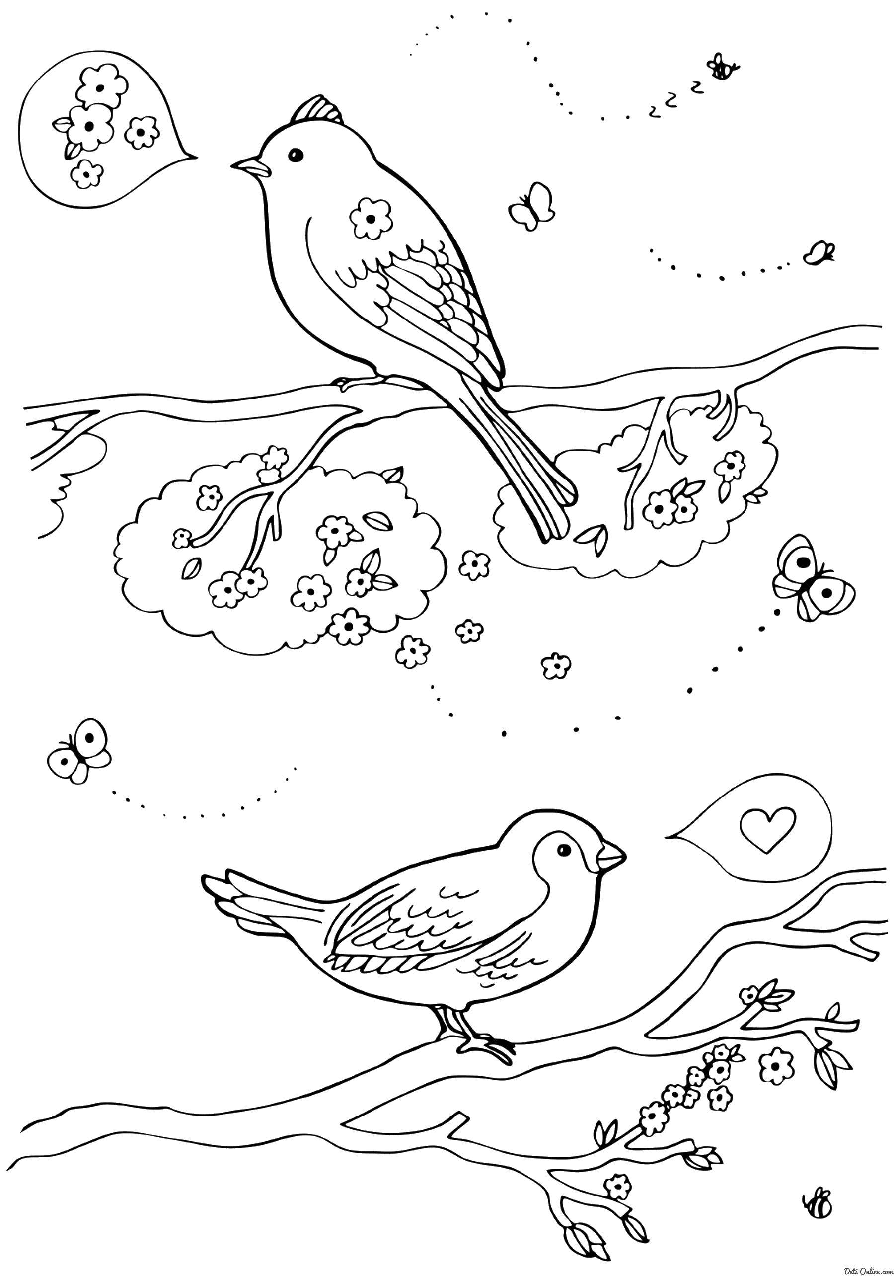 Название: Раскраска Птички на веточках разговаривают. Категория: птицы. Теги: Птицы, деревья.