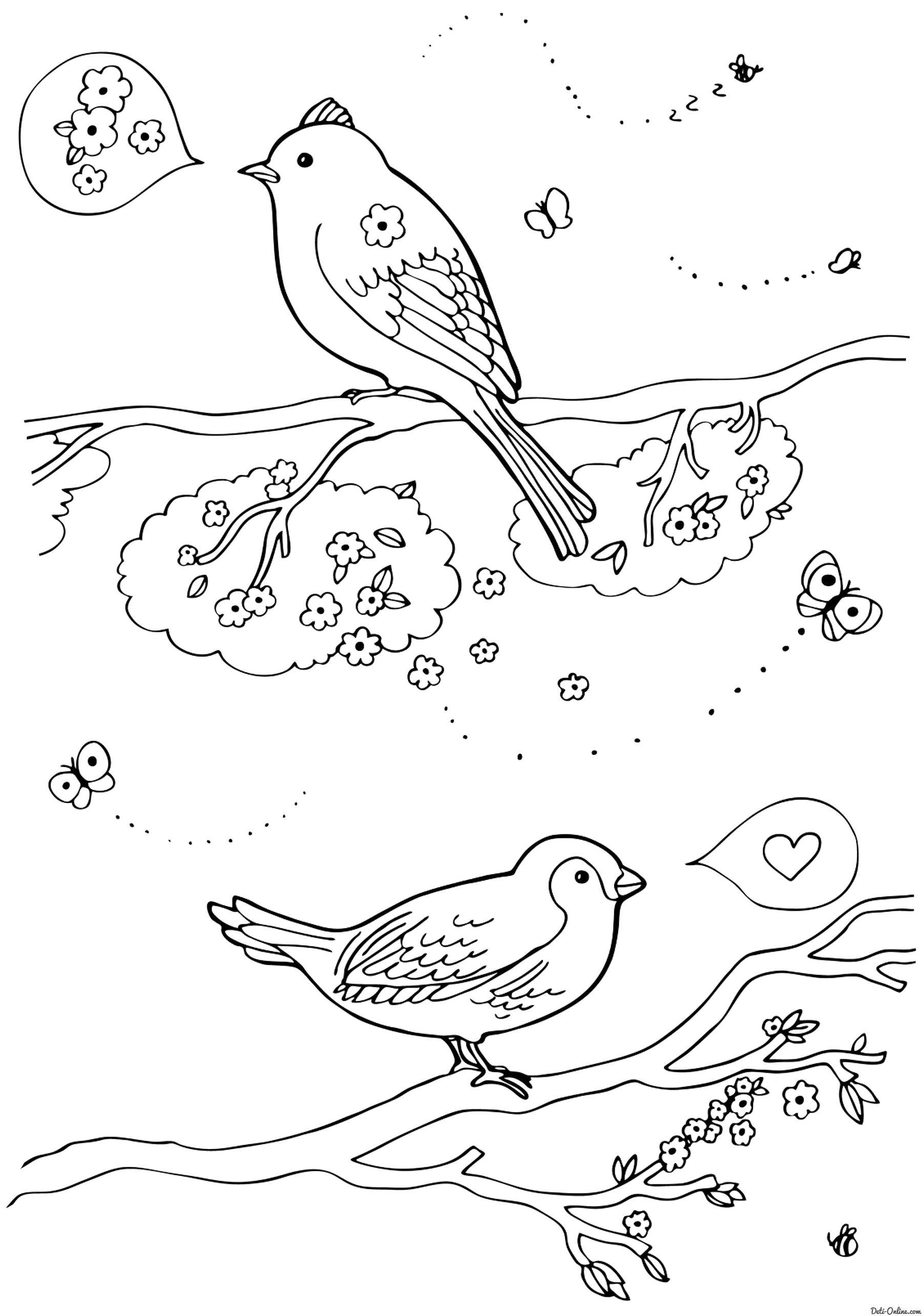Название: Раскраска Птички на веточках разговаривают. Категория: весна. Теги: Птицы, деревья.