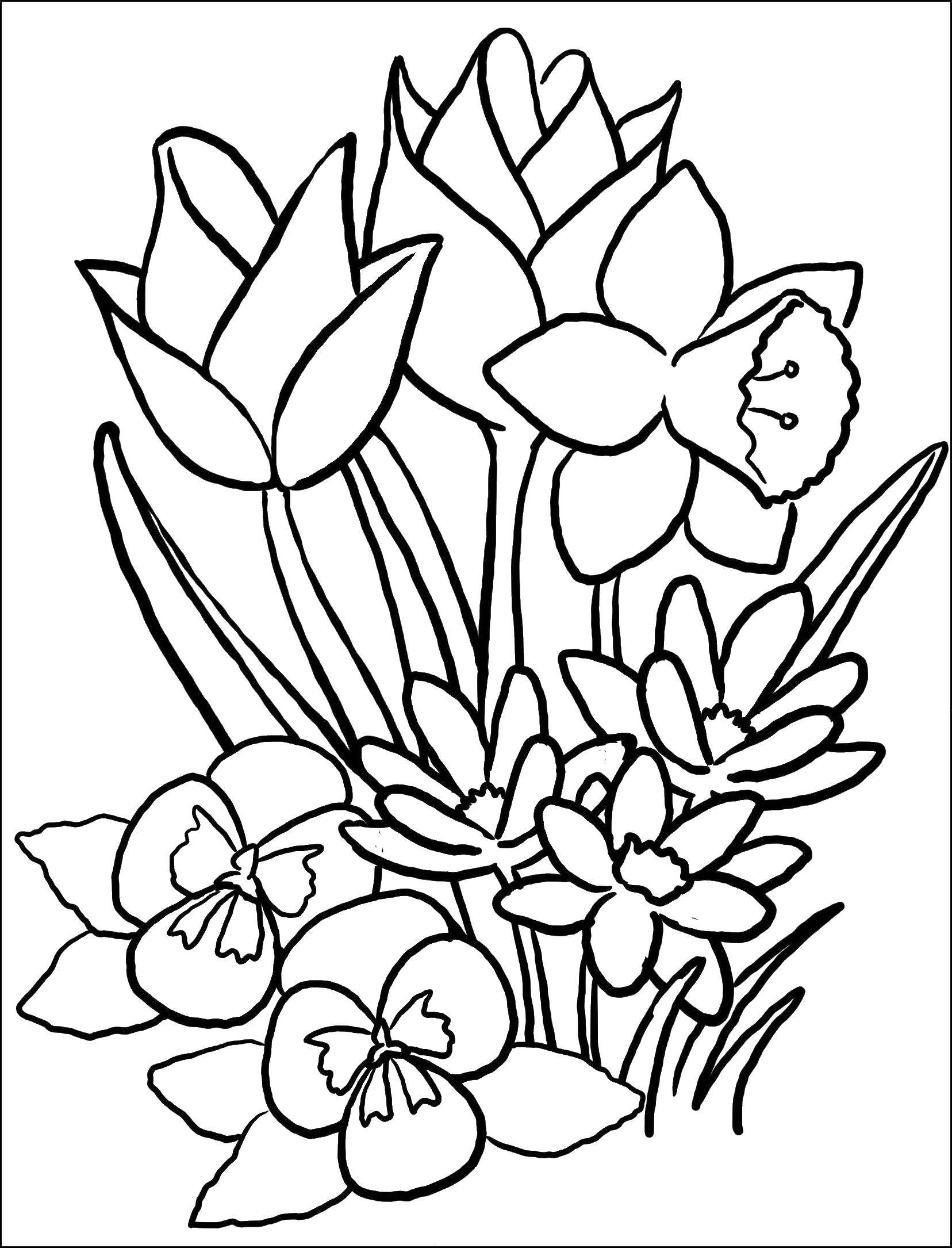 Coloring Blooming flowers. Category spring. Tags:  Spring, flowers, warmth.