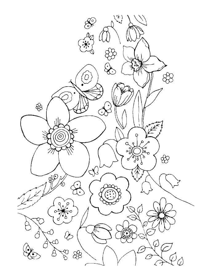 Coloring Floral pattern. Category patterns. Tags:  Patterns, flower.