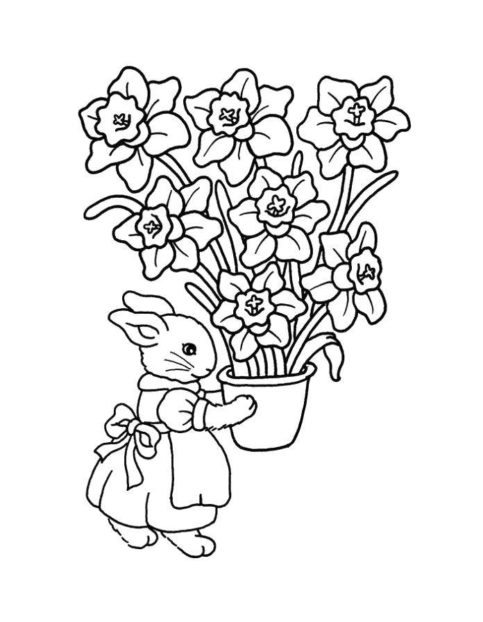 Coloring Bunny carries a pot of flowers. Category flowers. Tags:  Flowers, flower pots.
