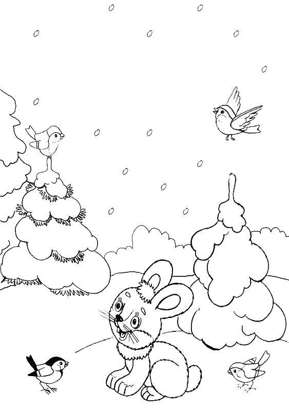 Название: Раскраска Зайчик зимой в лесу. Категория: зима. Теги: , заяц, кролик, .