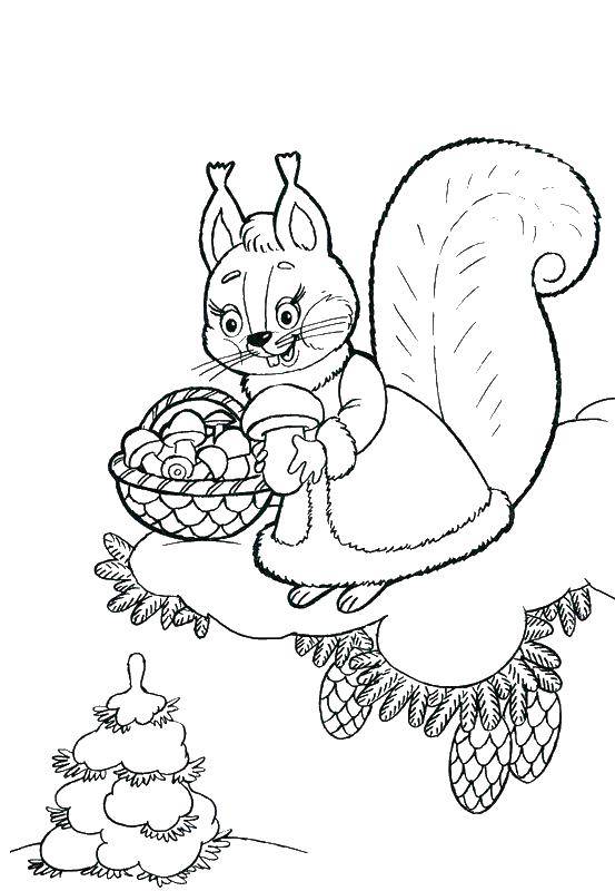 Coloring Squirrel gathers mushrooms. Category winter. Tags:  squirrel.