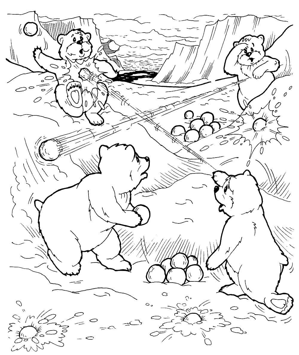 Coloring Bears playing in the snow. Category winter. Tags:  Misha, Bear.