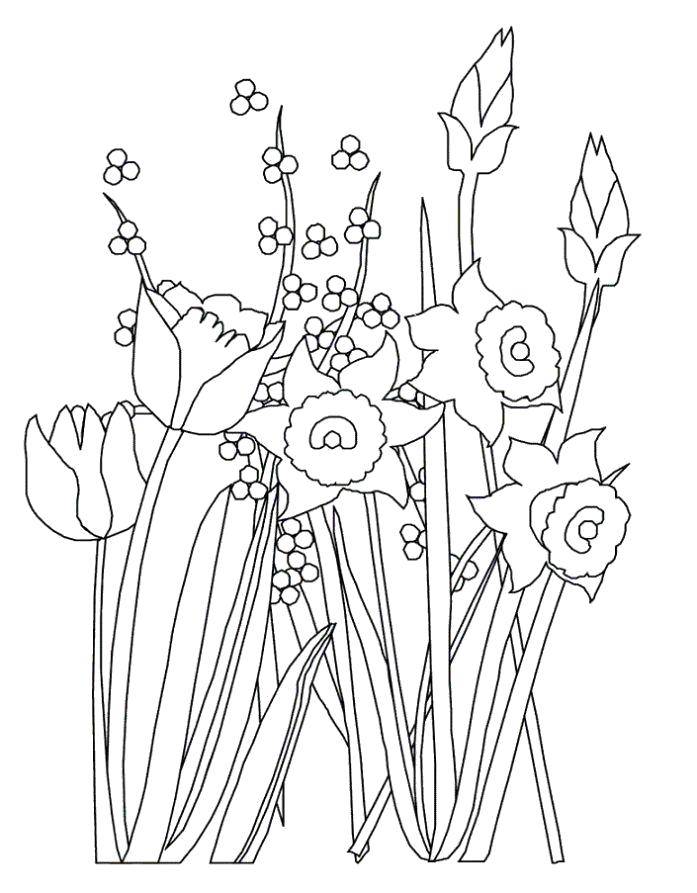 Coloring Spring bouquet. Category spring. Tags:  Flowers, bouquet.
