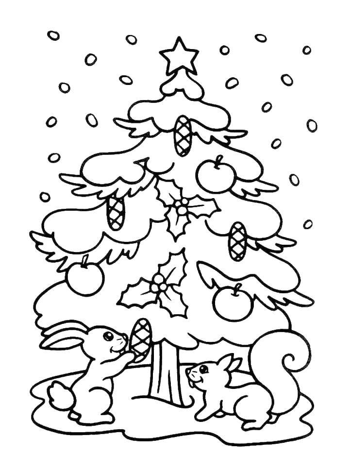 Название: Раскраска Белки наряжают елку в лесу яблоками и шишками. Категория: раскраски елки. Теги: БЕЛКИ, елка, снег.