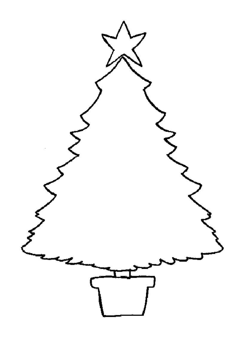 Название: Раскраска Контур елки со звездой. Категория: раскраски елки. Теги: елка.