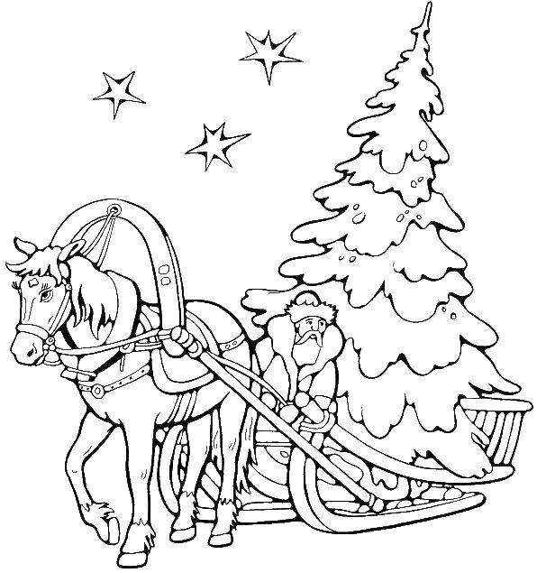 Название: Раскраска Дед мороз везёт ёлку на санях. Категория: раскраски елки. Теги: Новый Год, ёлка, зима, лес, Дед Мороз.