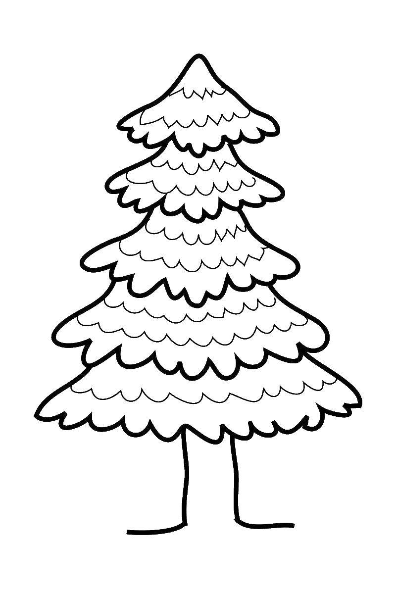 Coloring Forest tree. Category coloring Christmas tree. Tags:  New Year, tree, gifts, toys.