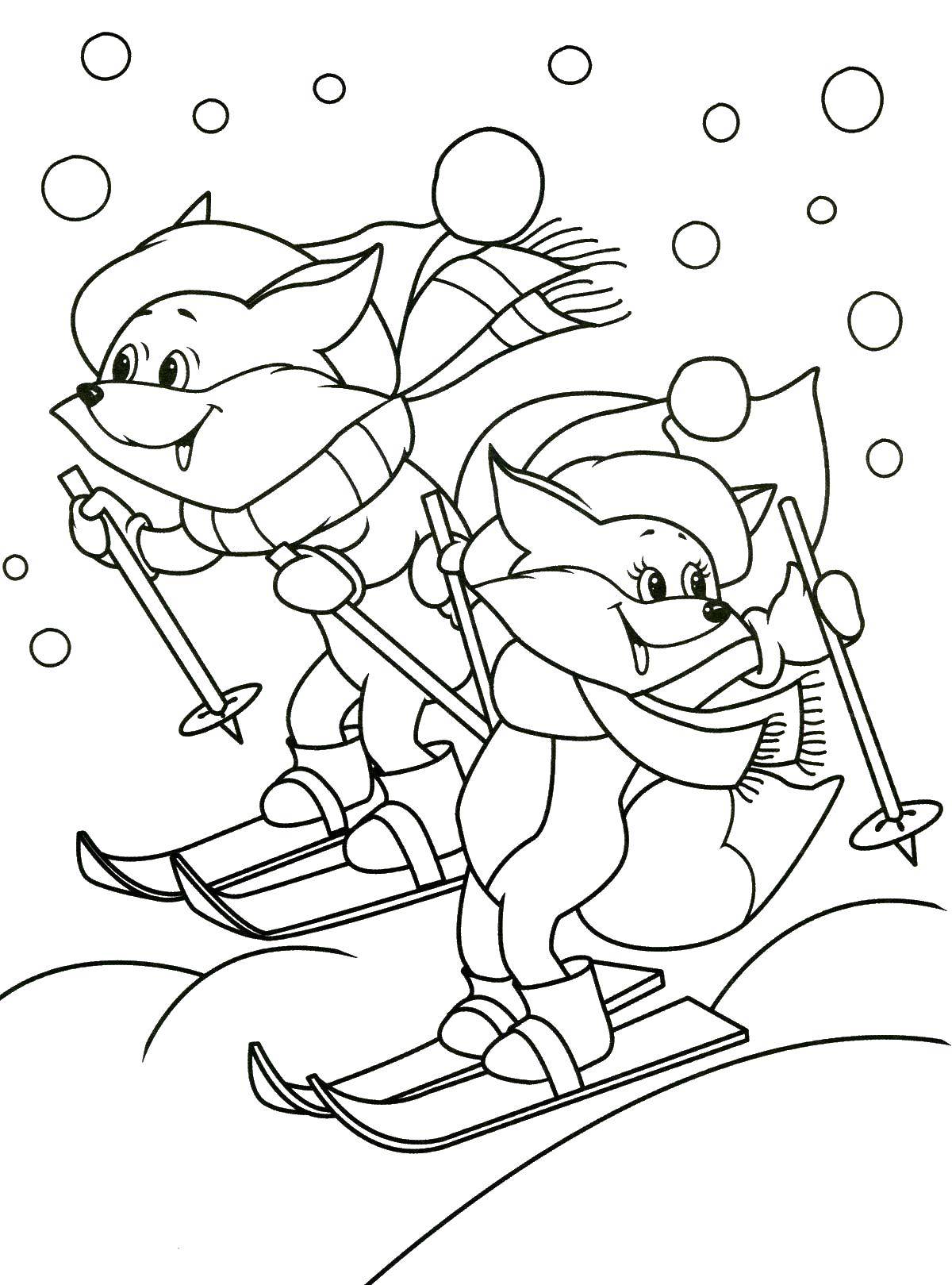Название: Раскраска Лисы катаются на лыжах. Категория: зима. Теги: лиса, лыжи.