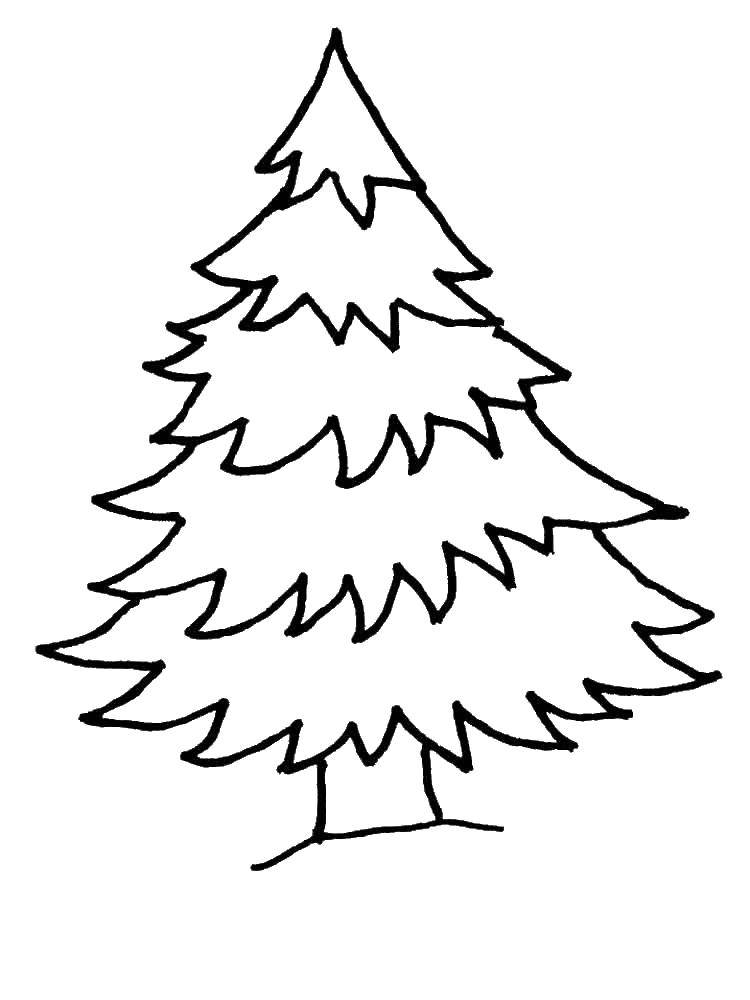 Coloring Winter tree. Category coloring Christmas tree. Tags:  New Year, tree, gifts, toys.