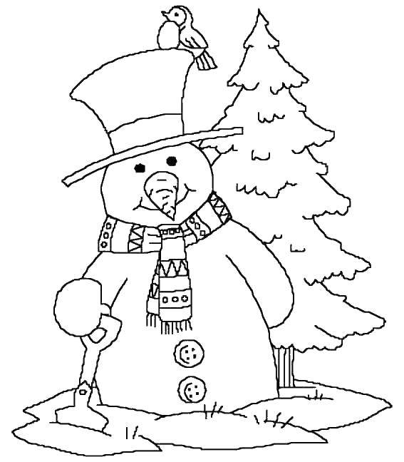 Coloring Snowman fir tree. Category Coloring pages for kids. Tags:  Sparrow, snowman, spruce, shovel.