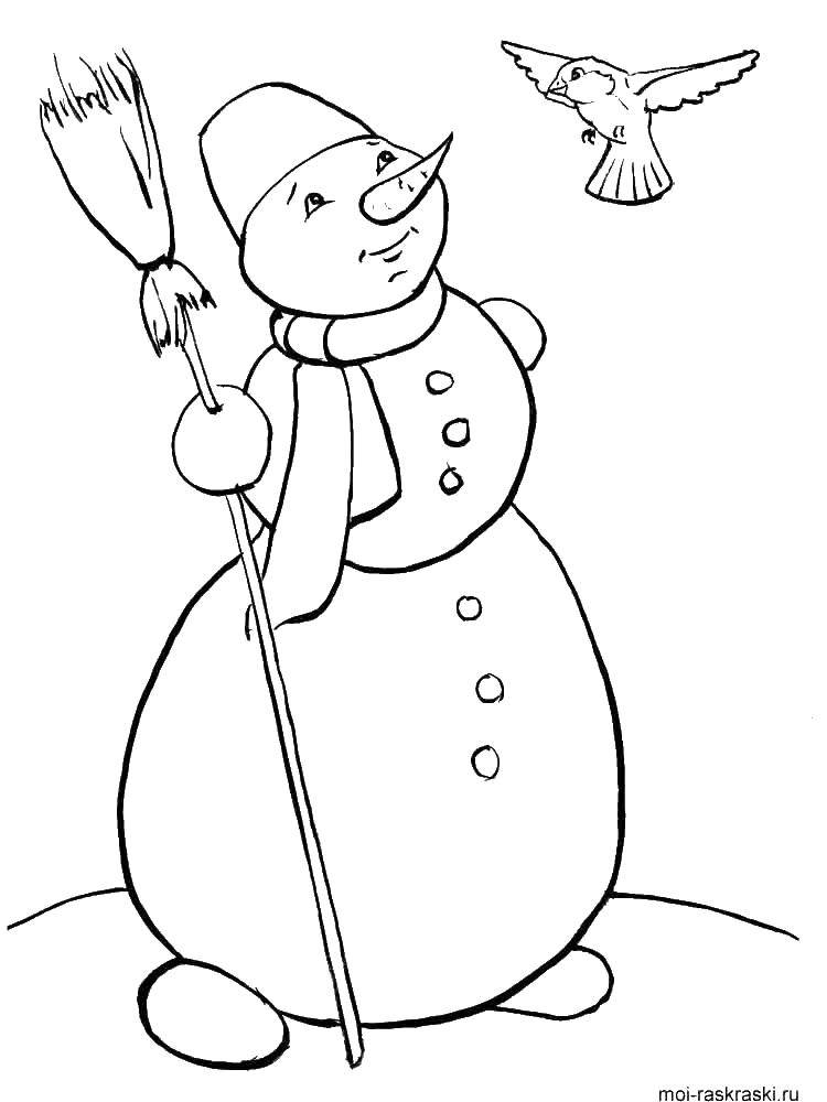 Coloring Snowman and bird. Category coloring. Tags:  broom, bucket, snowman, bird.