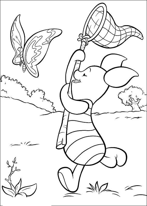 Название: Раскраска Пятачок ловит бабочку. Категория: Персонаж из мультфильма. Теги: Дисней, Винни Пух.