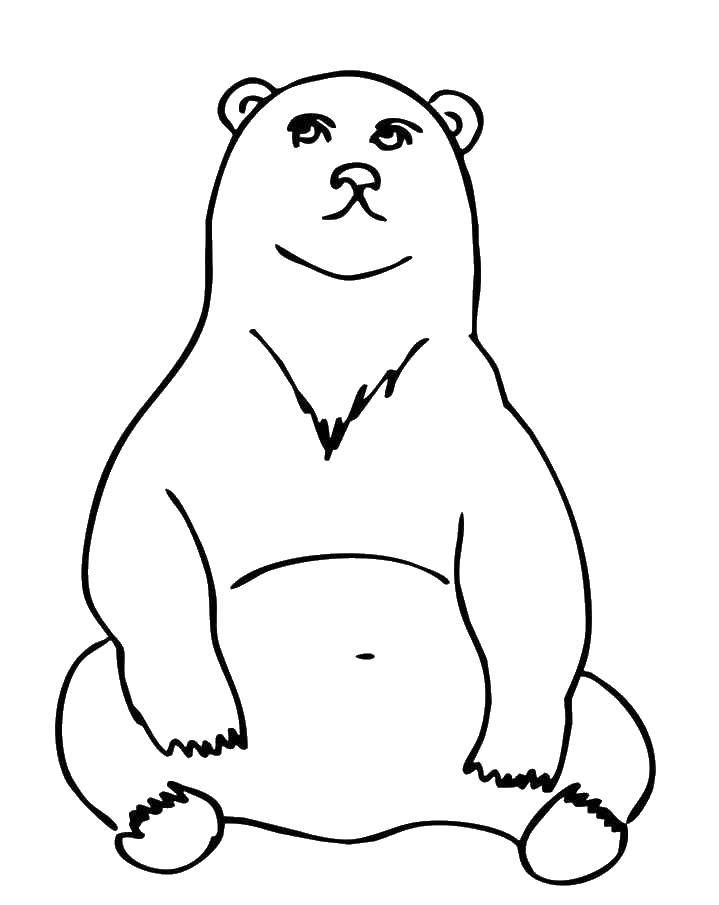 Название: Раскраска Задумчивый медведь. Категория: Животные. Теги: Животные, медведь.