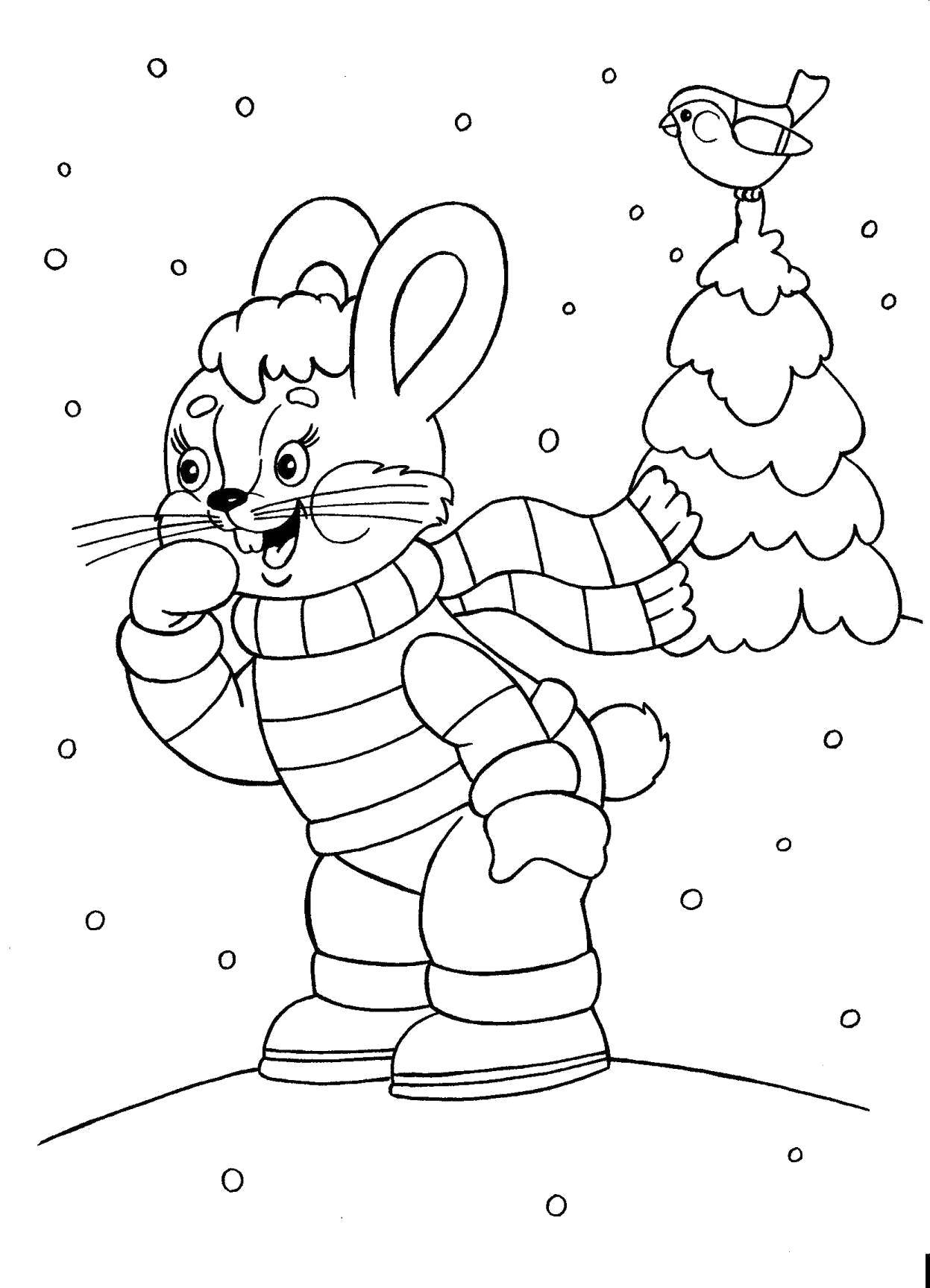Coloring Bunny in winter. Category winter. Tags:  Winter, forest, Bunny.