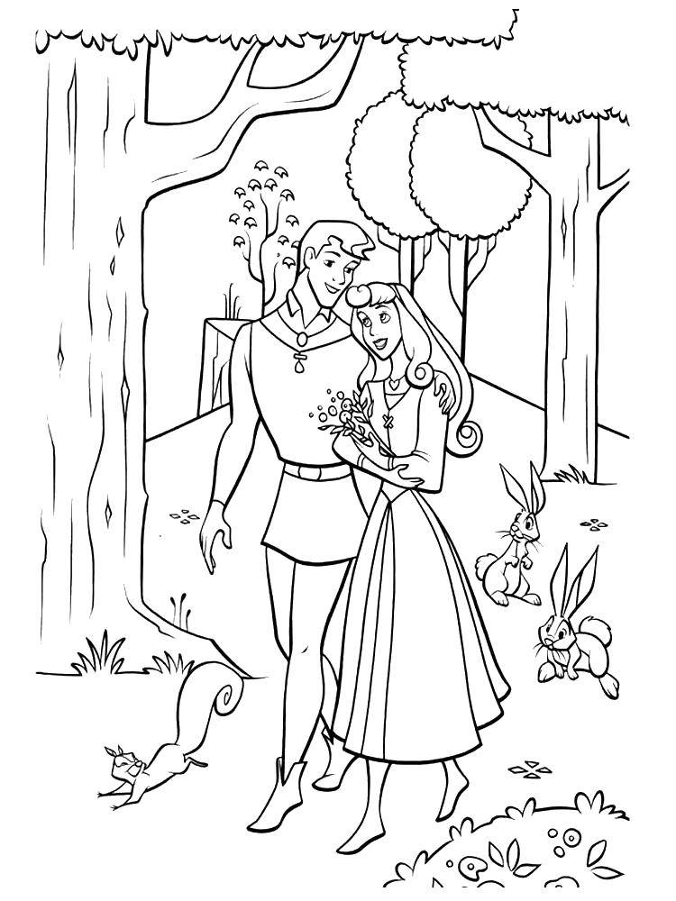 Розмальовки  Аврора і філліп гуляють по лісі. Завантажити розмальовку Дісней, Спляча красуня.  Роздрукувати ,спляча красуня,