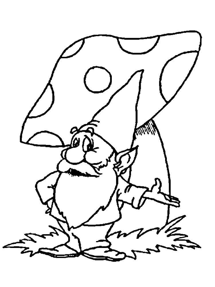Coloring Gnome and mushroom. Category gnomes. Tags:  Dwarf, mushroom.