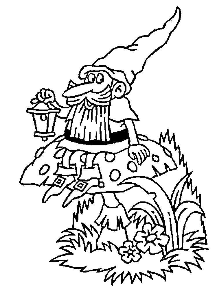 Coloring Gnome on mushroom. Category gnomes. Tags:  Dwarf, mushroom.
