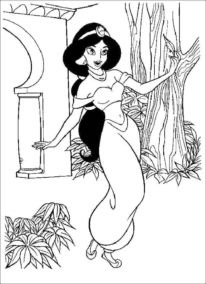 Coloring Beautiful Jasmine. Category Disney cartoons. Tags:  Disney, Aladdin, Jasmine.