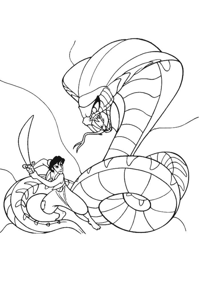 Coloring Aladdin in the fight with the serpent. Category Aladdin. Tags:  Disney, Aladdin, Jasmine.