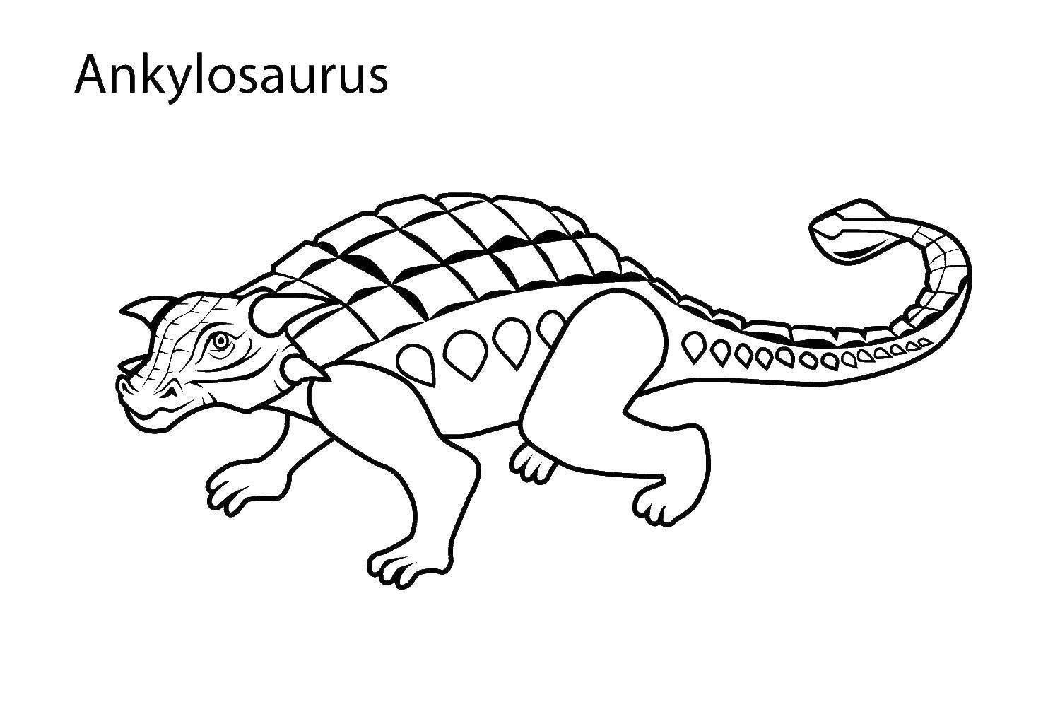 Название: Раскраска Травоядный анкилозавр. Категория: динозавр. Теги: Динозавры, анкилозавр.
