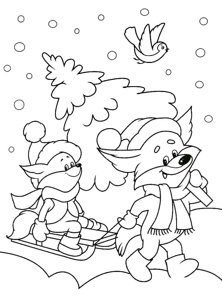 Coloring The wolf on the sled. Category winter. Tags:  wolf, sleds, wood.