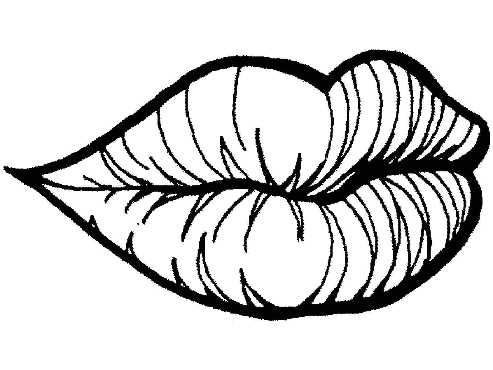 Coloring Lips. Category The structure of the body. Tags:  Lip.