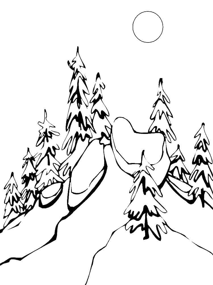 Название: Раскраска Лес зимой. Категория: зима. Теги: лес, зима.