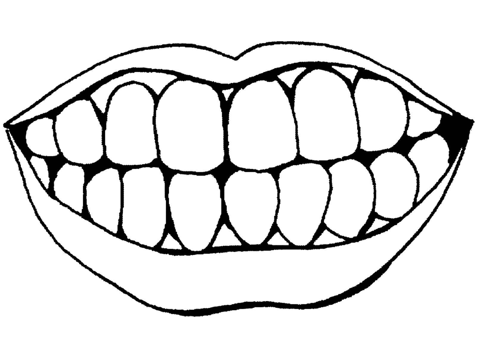 Название: Раскраска Зубы и рот. Категория: Строение тела. Теги: Рот, зубы.