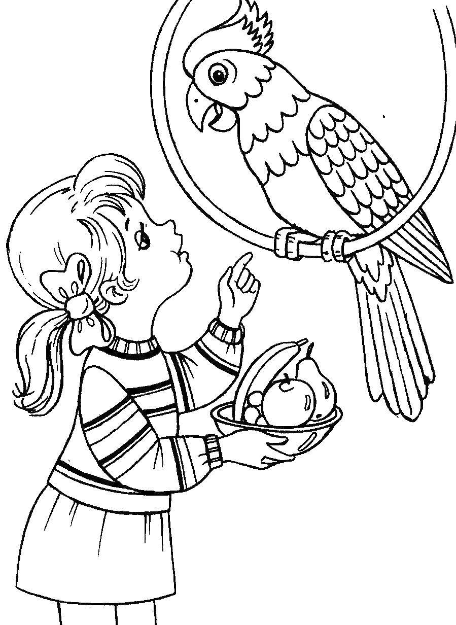 Название: Раскраска Девочка и попугай. Категория: дети. Теги: Дети, животные, игры.