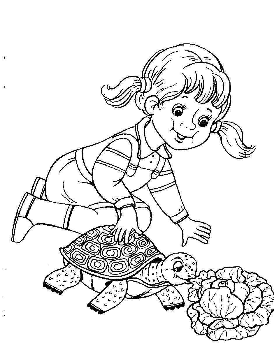 Coloring Girl feeding the turtle cabbage. Category children. Tags:  Children, animals, games.