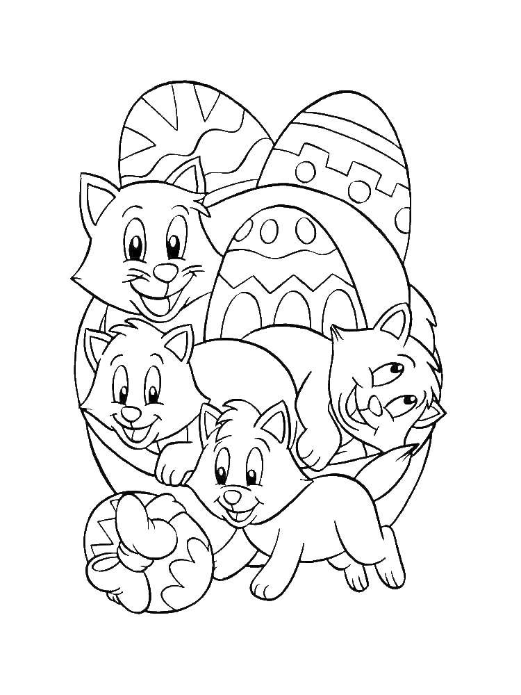 Coloring Kittens on Easter. Category coloring Easter. Tags:  Easter, eggs, patterns.