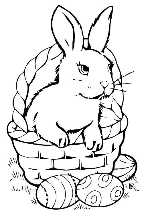 Coloring Easter zaicik in the basket. Category coloring Easter. Tags:  Zaichik, aici, basket.