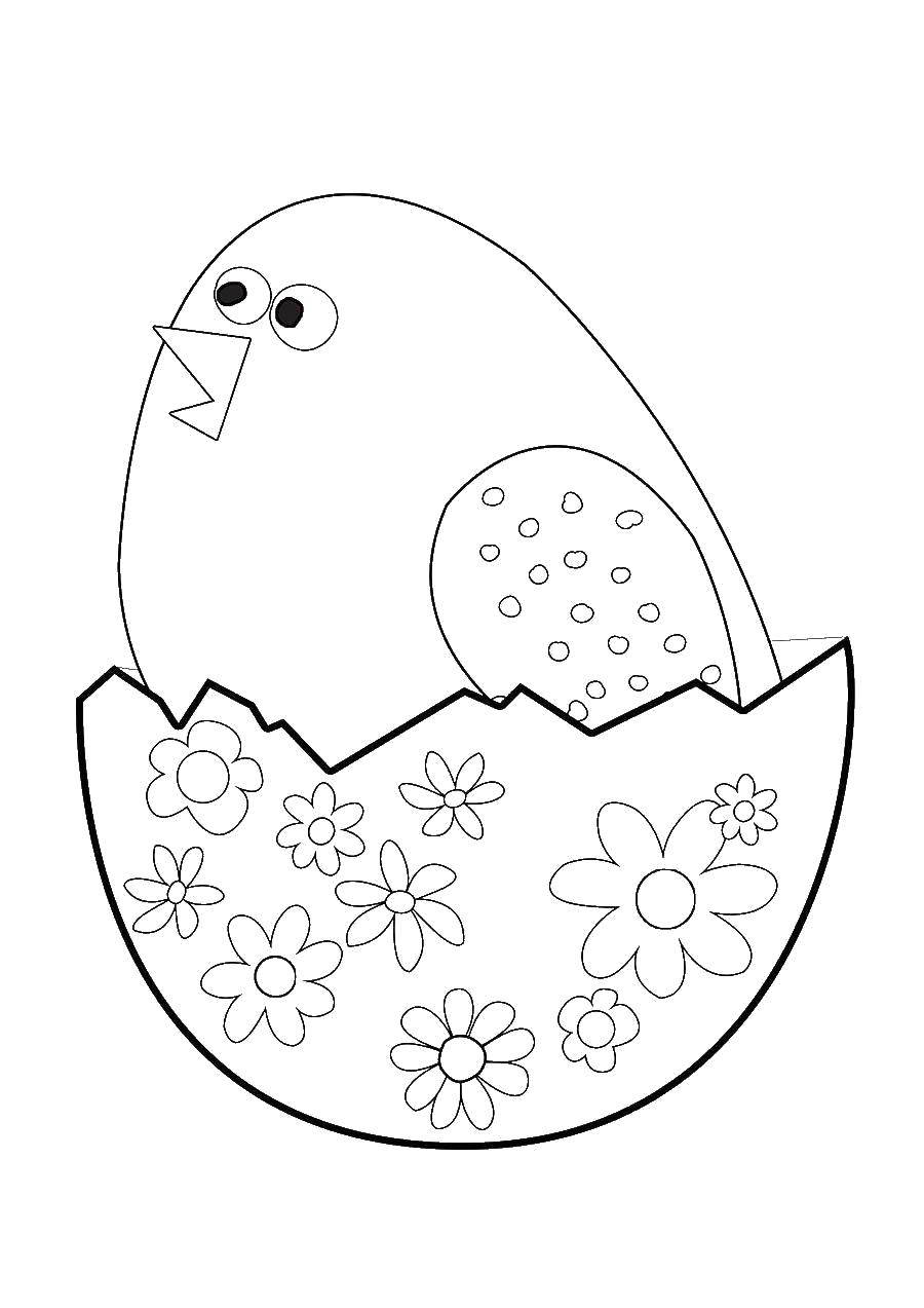 Название: Раскраска Птенчик вылупился из пасхального яичка. Категория: пасхальные яйца. Теги: Пасха, яйца, узоры.