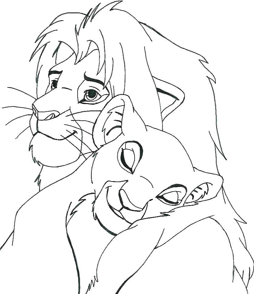 Coloring The lion king and lioness. Category Disney cartoons. Tags:  Disney, Lion King.